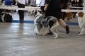 IMG_0576