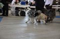 IMG_0577