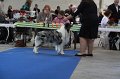 IMG_0578