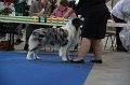 IMG_0579