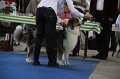IMG_0580
