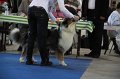 IMG_0581