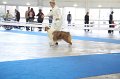 IMG_0586