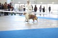 IMG_0587