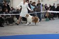 IMG_0591