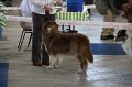 IMG_0593