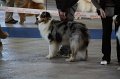 IMG_0595