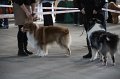 IMG_0596