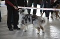 IMG_0597