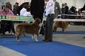 IMG_0599