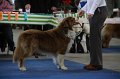 IMG_0600