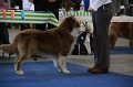 IMG_0601