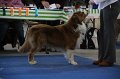 IMG_0602