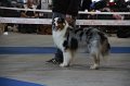 IMG_0604
