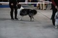 IMG_0605