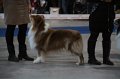 IMG_0609