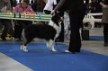 IMG_0611