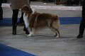 IMG_0612
