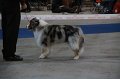 IMG_0613