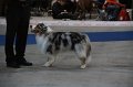 IMG_0614