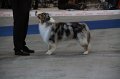 IMG_0615