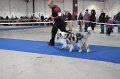 IMG_0619