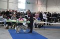 IMG_0625