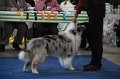 IMG_0627