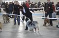 IMG_0633