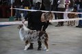 IMG_0635
