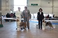 IMG_0636