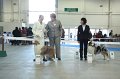 IMG_0637