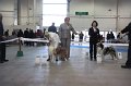 IMG_0639