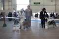 IMG_0640