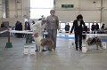 IMG_0641