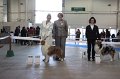 IMG_0649