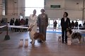IMG_0651