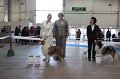 IMG_0652
