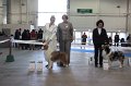 IMG_0654