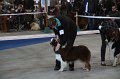 IMG_0656
