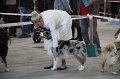 IMG_0658