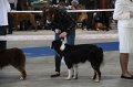 IMG_0666