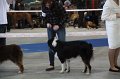 IMG_0667