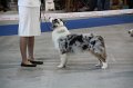IMG_0669