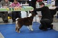IMG_0673