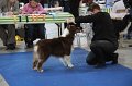 IMG_0674
