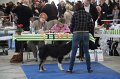 IMG_0678