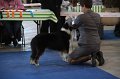 IMG_0690