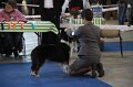 IMG_0694