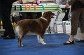 IMG_0698